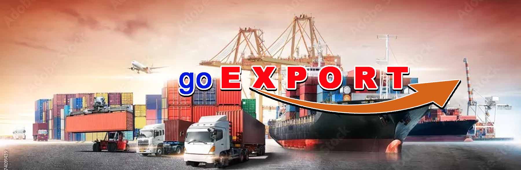 Go Export AD / ART – GPEI